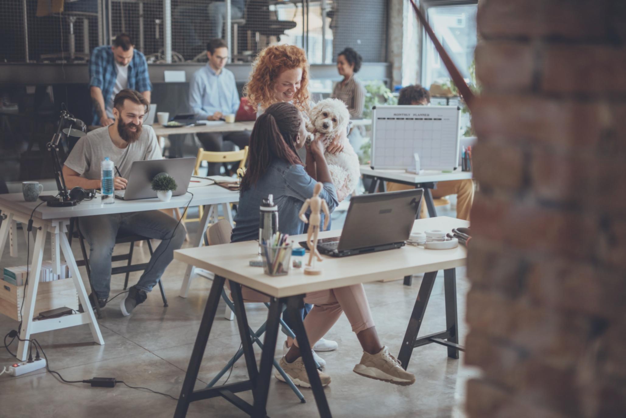 Процес написання книги з планування до реалізації